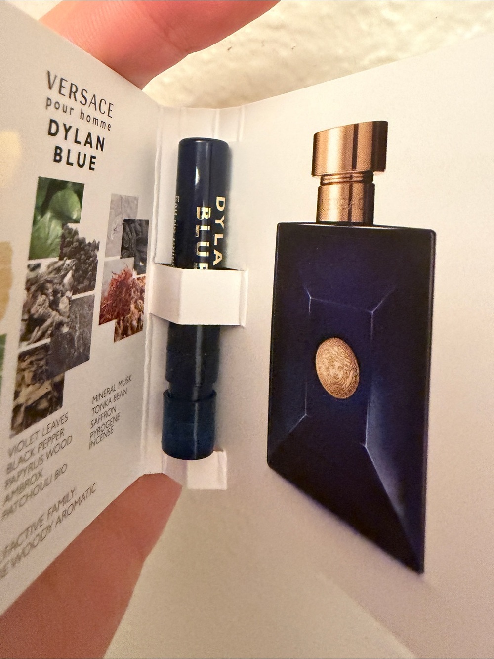 Versace Dylan Blue Pour Homme sample